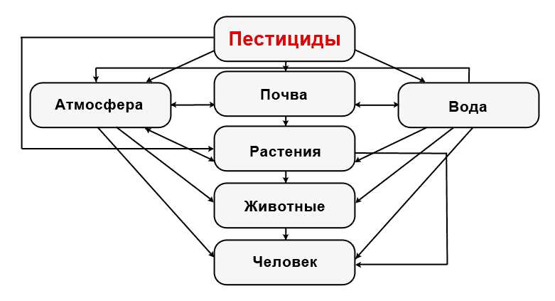 Как пестициды влияют на окружающую среду?