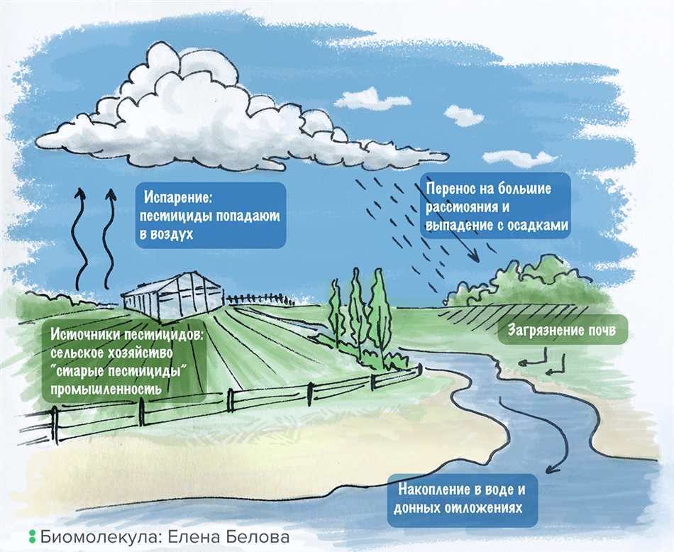 Каковы последствия применения пестицидов для окружающей среды?