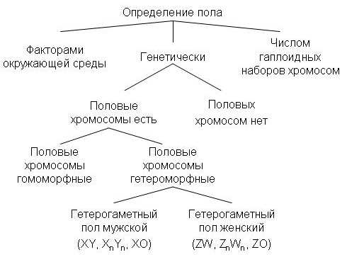 Змеи и их разнообразие: важная составляющая биологического мира