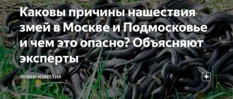 Каковы причины смертности змей в природе?