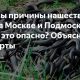 Каковы причины смертности змей в природе?