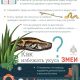 Какую роль играет змея в вудуистских верованиях?