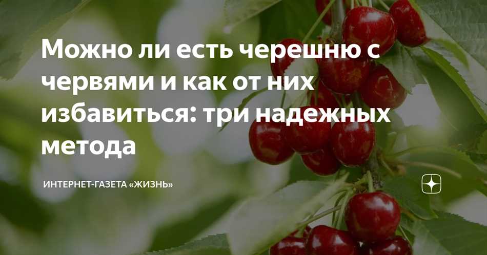 Признаки наличия червей на черешне