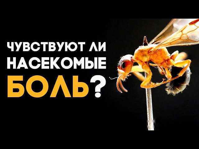 Исследования и эксперименты