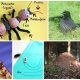 Могут ли муравьи съесть человека: факты и мнения