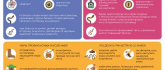 Могут ли змеи обучаться и запоминать информацию?