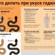 Могут ли змеи предчувствовать приближение человека?