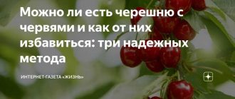 Можно ли есть фруктовых червей: ответы и рекомендации