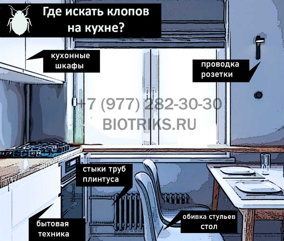 Можно ли самому опрыскать мебель и полы при сильном заражении клопами?