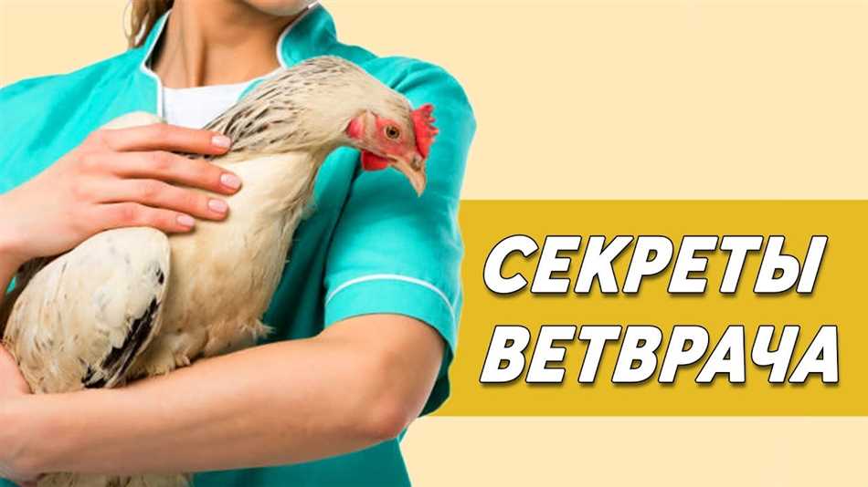 Почему бройлерская курица запрокидывает голову вниз?