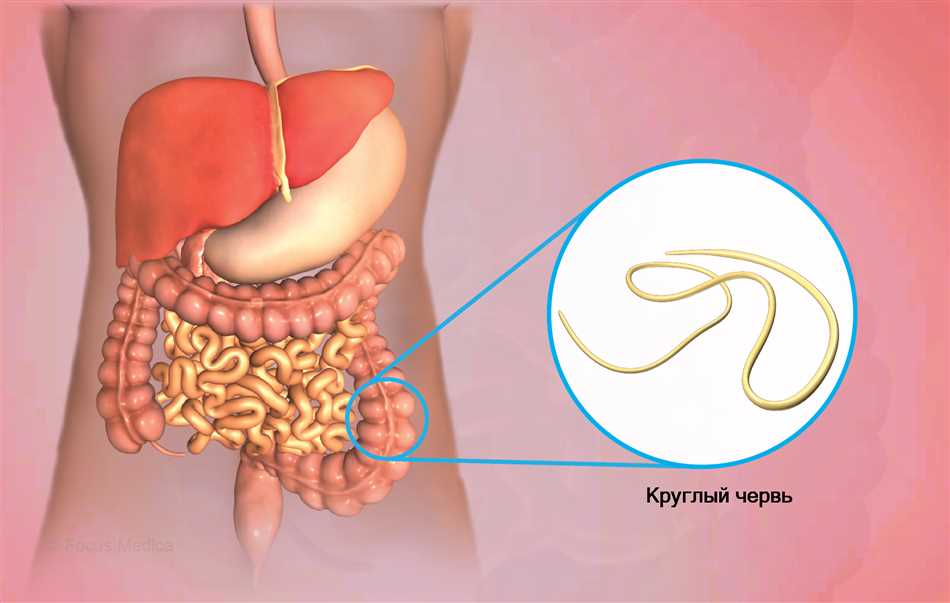 Почему человек заражается аскаридами чаще чем плоскими паразитическими червями?