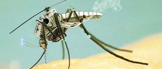 Почему комар на скорости может летать в салоне?