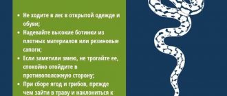 Почему некоторые змеи обладают способностью к самопарализации?