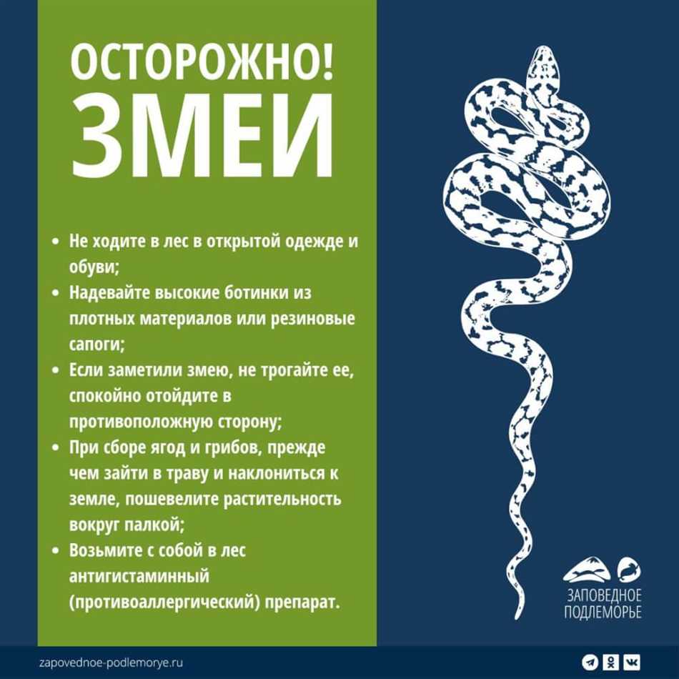 Почему некоторые змеи обладают способностью к самопарализации?