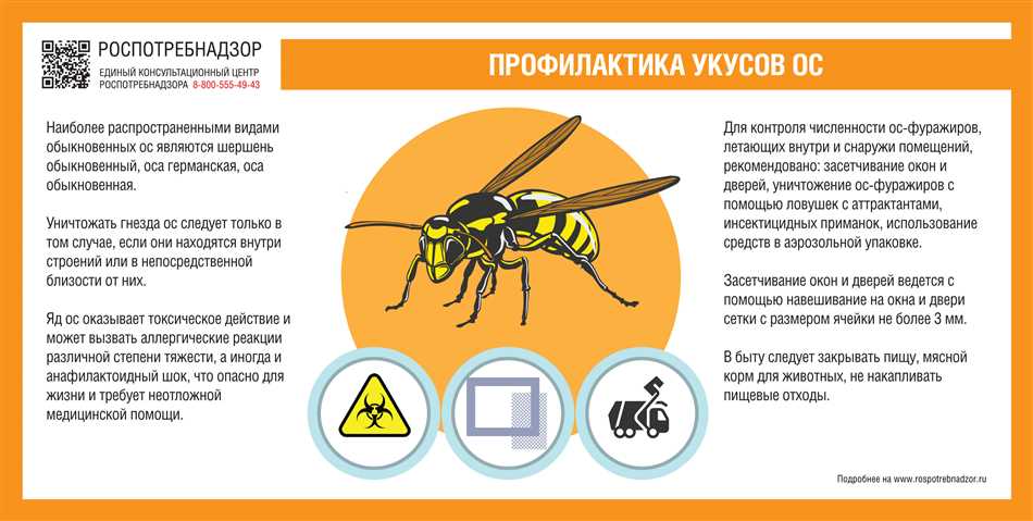 Почему пчелы не являются вредителями, хотя могут ужалить?