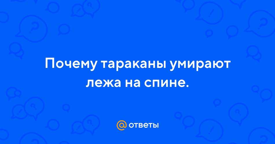 Зависимость тараканов от окружающих условий