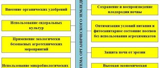 Почему важно соблюдать сельскохозяйственную ротацию для предотвращения вредителей?