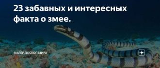 Почему змеи не могут слышать внешние звуки?