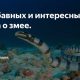 Почему змеи не могут слышать внешние звуки?