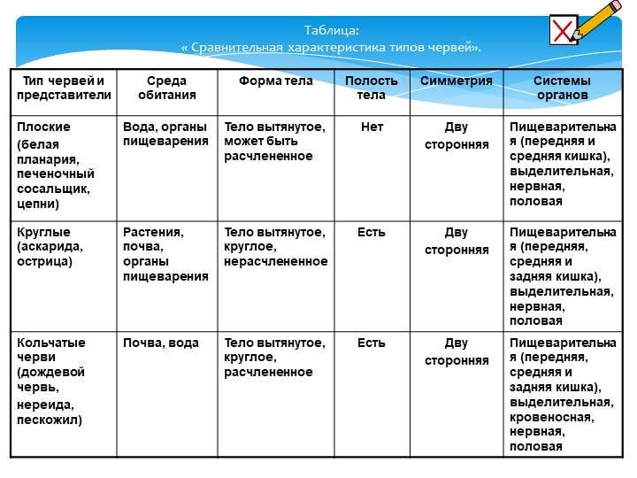 Признаки червей 7 класс