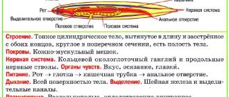 Признаки характерные для круглых червей: особенности и изучение