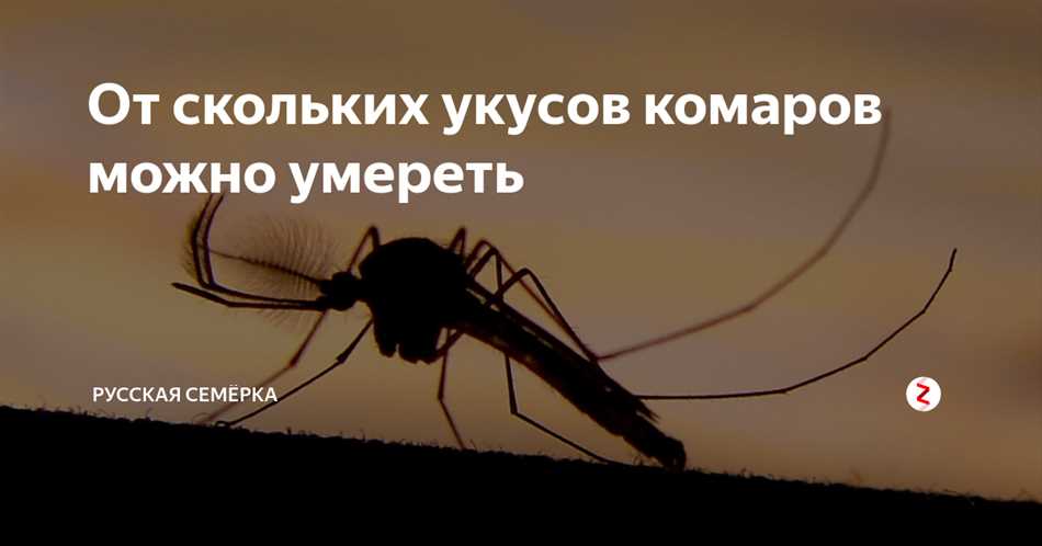 Сколько комариных укусов выдержит человек?