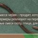 Сколько времени занимает рост червей: факты и интересные факты - Научные исследования и удивительные открытия