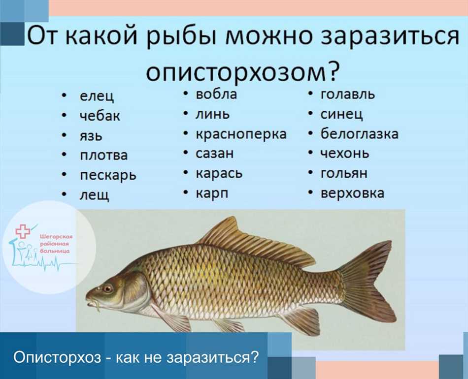 Что такое описторхоз?