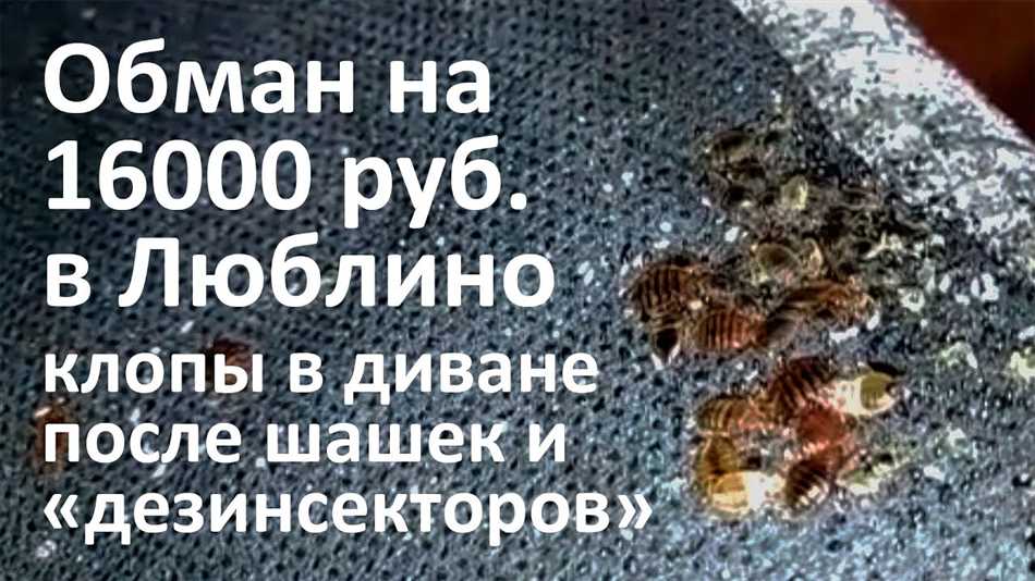 4. Физическая уборка