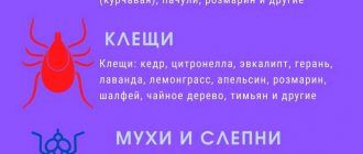 Чего боятся комары мята? Природные способы отпугивания комаров