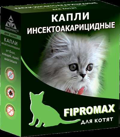 Возраст котенка