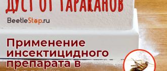 Опасность пыли от тараканов для здоровья человека: причины и последствия