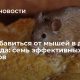 Эффективные способы отпугнуть мышей в квартире