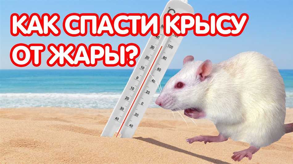 1. Охлаждающие камни