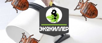 Методы обработки квартиры от клопов: эффективные способы устранения