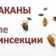 Как долго нужно ждать после обработки квартиры от тараканов?