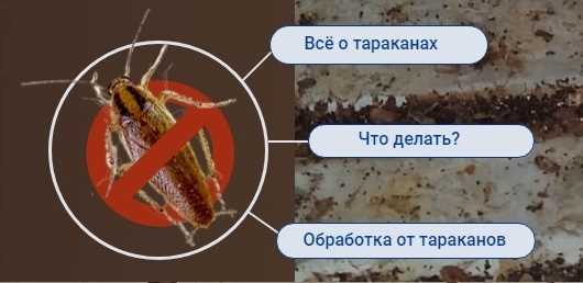 Продолжительность действия препаратов