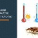 Сколько времени нужно клопам для гибели после обработки холодным туманом?
