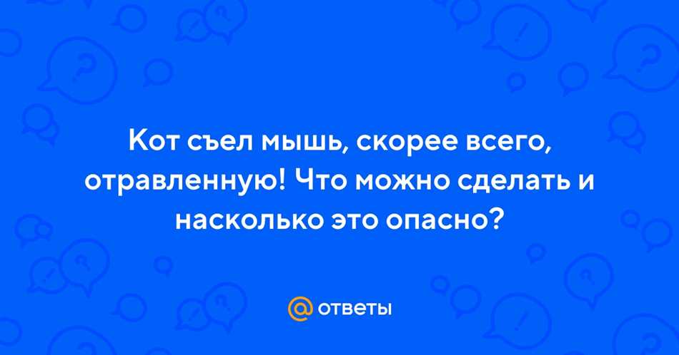 Опасность для здоровья кота