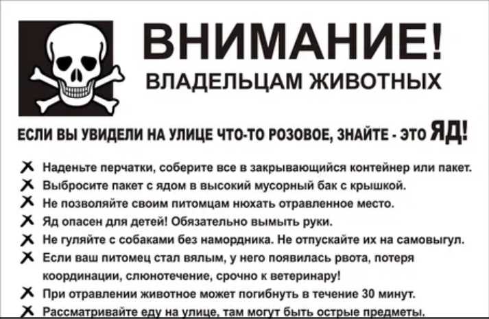 Примеры лекарств, которые могут вызвать отравление и рвоту у собак