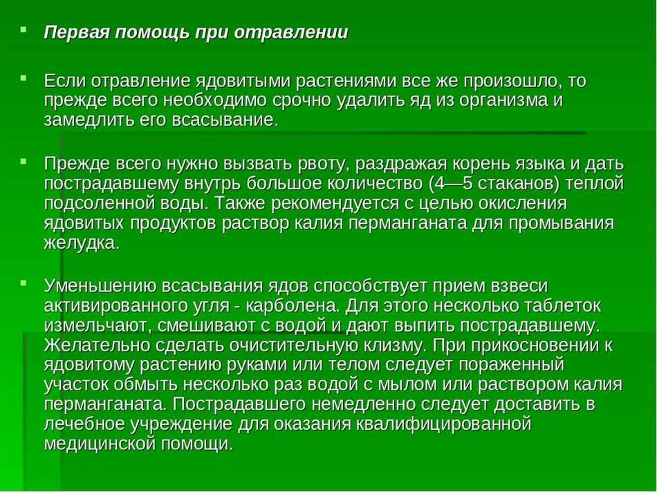 Что дать собаке при отравлении и рвоте из человеческих лекарств?