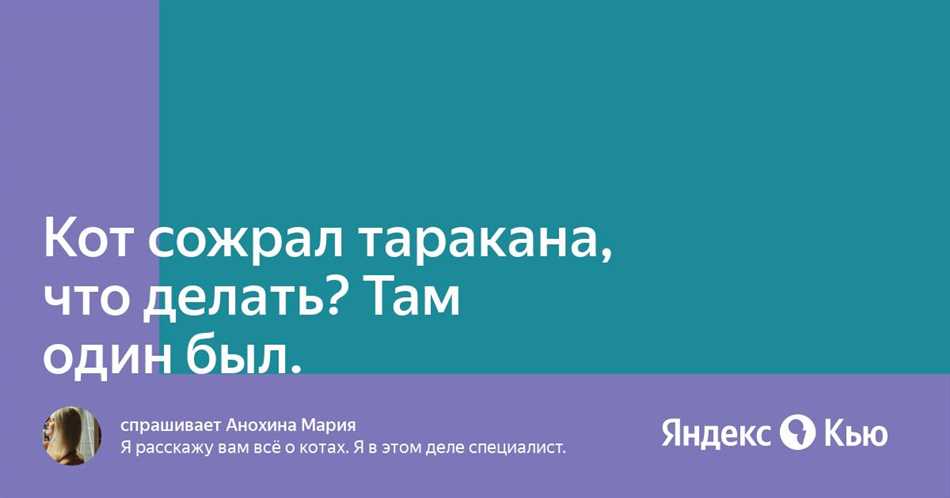 Причины, по которым коты увлекаются тараканами