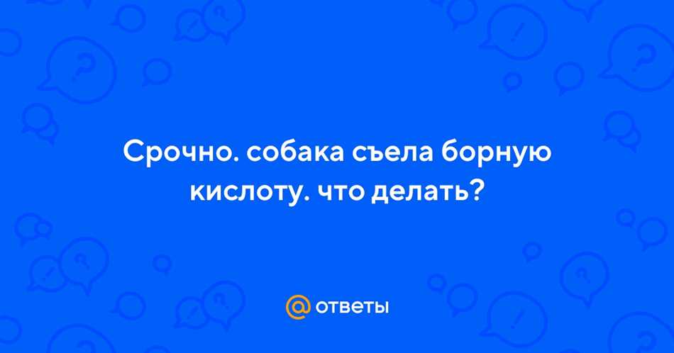 Контакт с ветеринаром