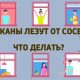 Что делать с тараканами: способы и рекомендации