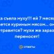Что произойдет, если кот съест муху? Возможные последствия
