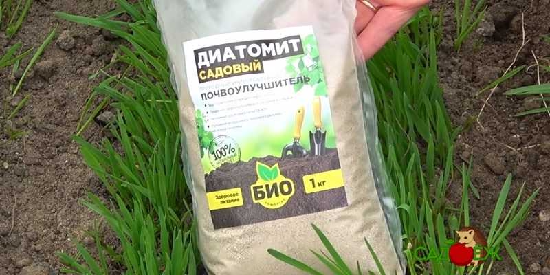 Подраздел 2.1: Пористость и площадь поверхности