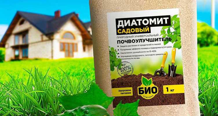 Раздел 2: Физические свойства диатомита