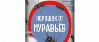 Состав броса от муравьев: основные компоненты и их эффективность