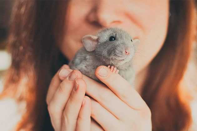 Ржавчина и коррозия