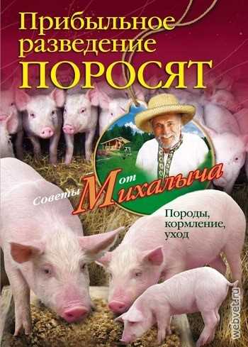 Рацион свиней: что и как едят наши пузатые друзья?